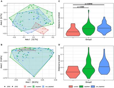 Investigating the effects of radiation, T cell depletion, and bone marrow transplantation on murine gut microbiota